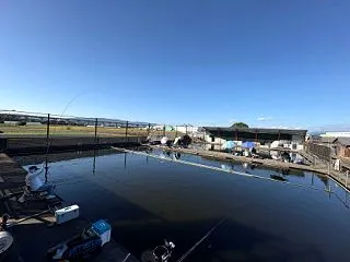  ヘラブナ釣り バランス？の底釣り