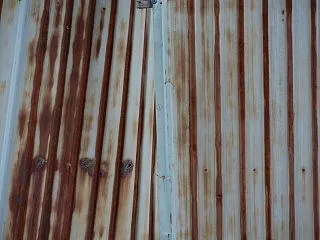 p_0003429_20241116a_…
