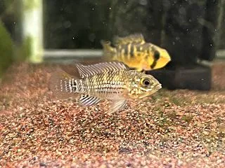 色々産んでます(^O^)／