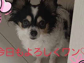 散々な…日曜日？(;´д｀)
