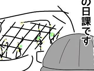 メロン日記22(メロンの風格と…事件です…