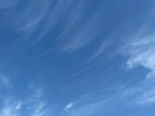 おじさんおばさんになると出てくる行動