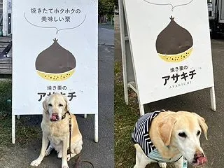 楽しいな♪