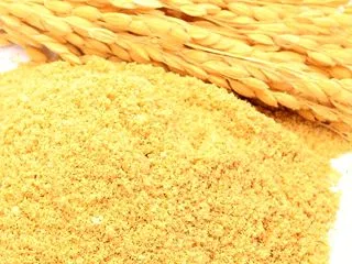 【楽天】ほんぢ園米ぬかパウダー～「ホンマ…