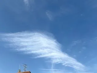 あなたは素晴らしい存在です☆今週のミラク…