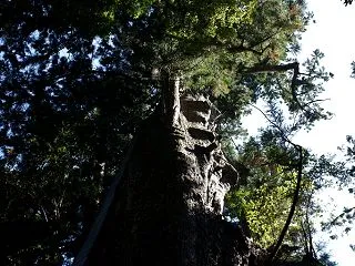 めぐりあわせ