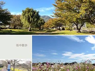 街中散歩