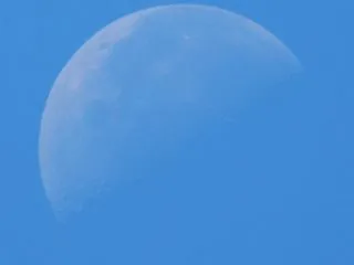 昼の半月