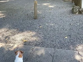 伊勢神宮への道⑤ 〜 瀧原宮 〜