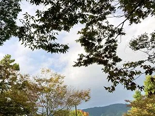 進まぬ退会手続き