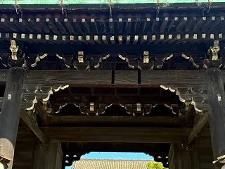 空海の両界曼荼羅へ 【東寺∞下鴨神社 吉…