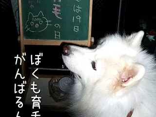 最高の気分転換♪