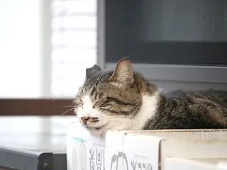 会えた♪