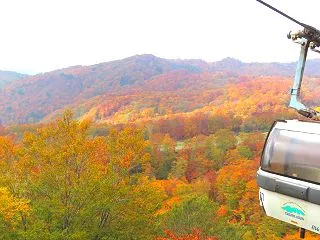 長野県／栂池（つがいけ）自然園☆①プロロ…