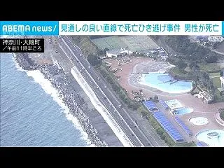 神奈川・西湘バイパスで死亡ひき逃げ 乗用…