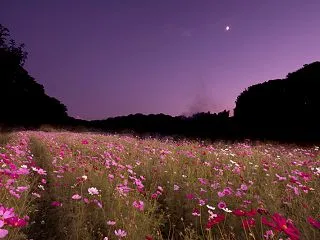 第1220回 秋立つ月
