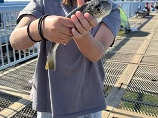 この日の釣果はメジナ1匹！
