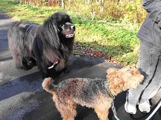鹿部はインフルエンザ流行中