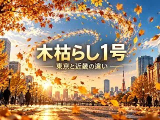 木枯らし1号の条件は？東京と近畿の違い、…