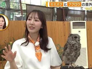 佐々木若葉 おっぱい グッドモーニング …