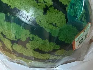 大きなスイカ