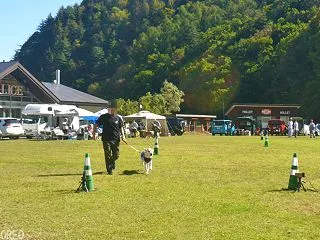 【白馬ワンワン運動会（2026秋） Vo…