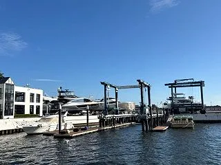 今朝は全員登場