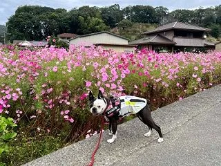 龍ノ口山、久しぶりの重ね岩へ
