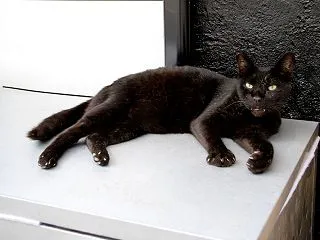 物置の上で