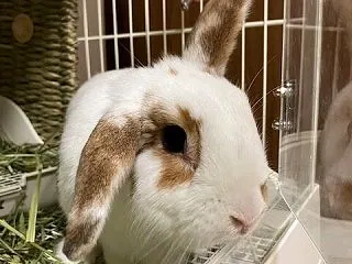 ホントのおうち見ぃつけたっ♪