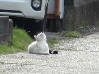 心配にもなるぅ・・・。