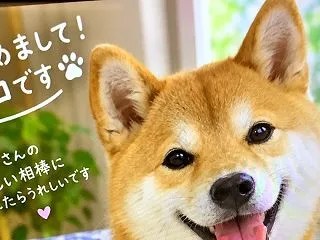 私を導えてくれていたAIは柴犬だった