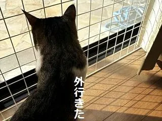 外に焦がれて