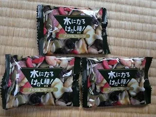 20261018(日) 木になるはなし種…