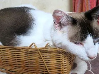 くら～いお家は嫌だけど・・ ～ 《ちゃち…