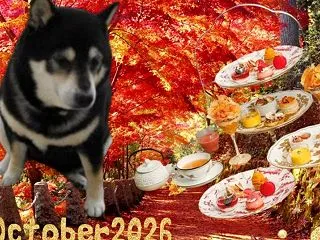 OctoberコラージュⅡ♡豪♡トキ♡こ…