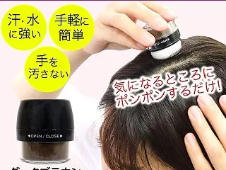 白髪隠し パウダー シャンデル ヘアパウ…