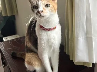 月曜日