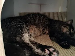頭に血は上らないのかな？
