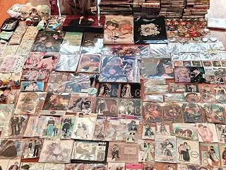 「初めての日本旅行、大成功！」大量のグッ…