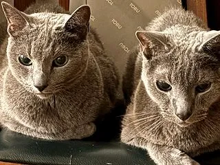 やりすぎ注意