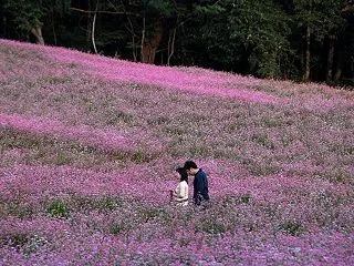 ◆赤そばの里夕景