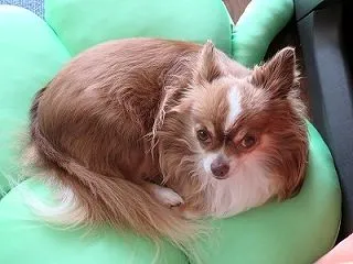 忙しい日の次の日には。