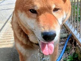 １０月１９日 僕も頑張るから