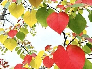 自分の軸を大切にしよう