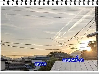 買い物の荷物持ち・・・