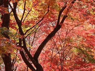 蒸し暑いな