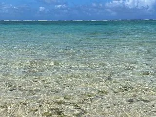 自分を観察する