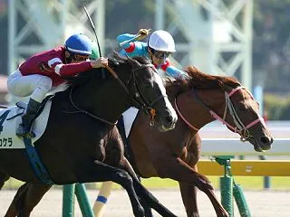 先週の結果 スイープラディウス 東京 2…