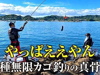 【カゴ釣り】多種多様の魚が釣れすぎる!!…